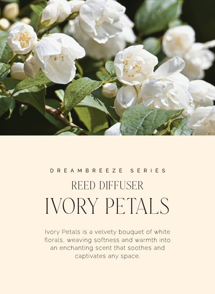 Fresh Air Diffuser- Ivory Petals - Image 2